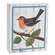 Rustic Bird Box Sign - 3 Asstd.