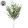 Dusty Rosemary Bush - 11-1/2 In