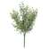 Dusty Rosemary Bush - 11-1/2 In