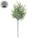 Dusty Rosemary Pick - 12 In