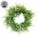 Verdant Baby Eucalyptus Candle Ring - 3-1/4 In