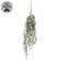 Golden Trumpet & Lavender Hanging Vine - 33-1/2 In