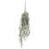 Golden Trumpet & Lavender Hanging Vine - 33-1/2 In