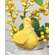 Yellow & White Gingham Checked Stuffed Baby Duck, #CW5048