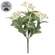 White Jasmine Bush - 10 In