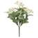 White Jasmine Bush - 10 In