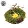 Mossy Twig Bird Nest w/Speckled Yellow Eggs - 3-1/2 In