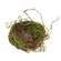 Mossy Twig Bird Nest - 6 In