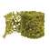 New Growth Moss Ribbon - 3 In x 6 Ft