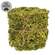 New Growth Moss Ribbon - 3 In x 6 Ft