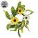 Field of Joy Candle Ring - 1.5"