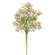 Blushing Blessed Clover Spray - 17 In