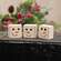 3 Set - Snowman/Ghost Reversible Wooden Blocks