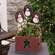 Winter's Night Snowman Planter Stake - 3 Asstd.