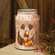 Distressed Metal Jack O'Lantern Luminary