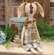 Huck Bunny Doll with Tulip, #CW5033