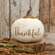 Cream Thankful Stuffed Pumpkin - 8"H