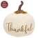 Cream Thankful Stuffed Pumpkin - 8"H