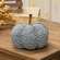Mossy Blue Floral Pumpkin
