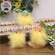 Fuzzy Standing Chick with Hat - 3 Asstd., SHN6022