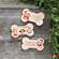 Paw-Some Wooden Christmas Bone Magnet - 3 Asstd.