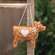 Gingerbread Cow Ornament - 4.5"H