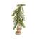 Bendable Luxemburg Pine Tree With Burlap Base - 2 Ft.