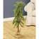 Bendable Luxemburg Pine Tree With Burlap Base - 3 Ft.Bendable Luxemburg Pine Tree With Burlap Base - 3 Ft.