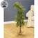 Bendable Luxemburg Pine Tree With Burlap Base - 4 Ft.