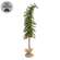 Bendable Luxemburg Pine Tree With Burlap Base - 5 Ft.