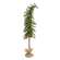 Bendable Luxemburg Pine Tree With Burlap Base - 5 Ft.