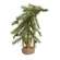 Bendable Luxemburg Pine Tree With Burlap Base - 18"