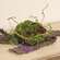 Mossy Twig Bird Nest - 6 In