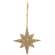 Champagne Sparkle Star Ornament