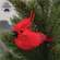 Glittered Cardinal Ornament - 3.5"H