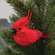Glittered Cardinal Ornament - 3.5"H