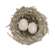 Sugar Frosted Bird Nest With Eggs - 3.5"