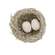 Sugar Frosted Bird Nest With Eggs - 4.5"