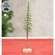 Sugar Plum Frosted Pine Tree - 8"H