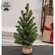 Soft Touch Balsam Fir Tree With Burlap Base - 18"H