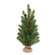 Soft Touch Balsam Fir Tree With Burlap Base - 24"