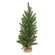 Soft Touch Balsam Fir Tree With Burlap Base - 36"Soft Touch Balsam Fir Tree With Burlap Base - 36"
