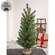 Soft Touch Balsam Fir Tree With Burlap Base - 36"