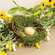 Mossy Twig Bird Nest w/Speckled Cream Egg - 4 In