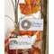 Autumn Blessings Ornament - 2 asst. -