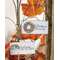 Autumn Blessings Ornament - 2 asst. - # 90732