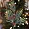 Mountain Pine w/ Berries Pick -