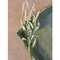 White Heather Spray -
