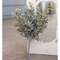 Pebble Eucalyptus Bush, 14" #ffg9382