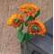 Burnt Orange Sunflower Spray;